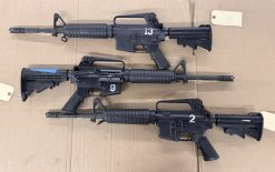 Bushmaster 16" A2 CARRY HANDLE LEO Trade In - MIL/LEO RESTRICTED MARKED